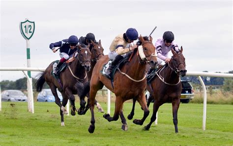 racing at catterick today.